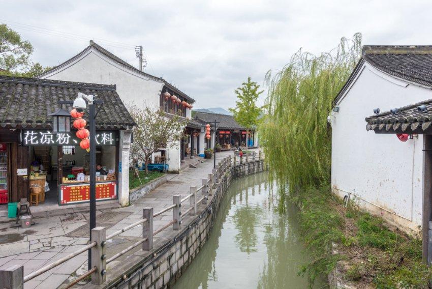 植物大战僵尸6